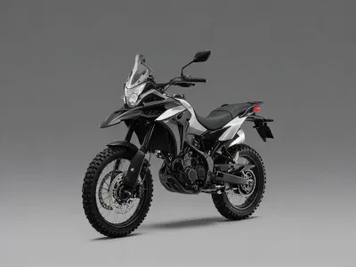 Dual Sport Motorcycle